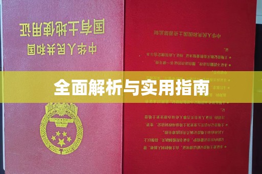 巴彦全面解析与实用指南