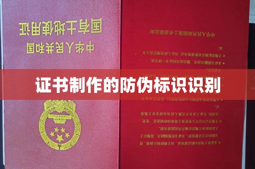 巴彦证书制作的防伪标识识别