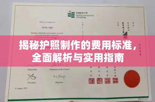 巴彦揭秘护照制作的费用标准，全面解析与实用指南