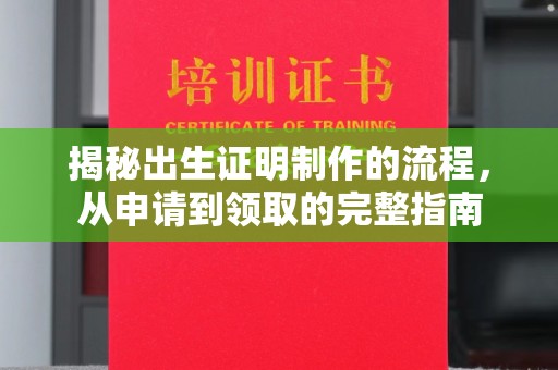 巴彦揭秘出生证明制作的流程，从申请到领取的完整指南