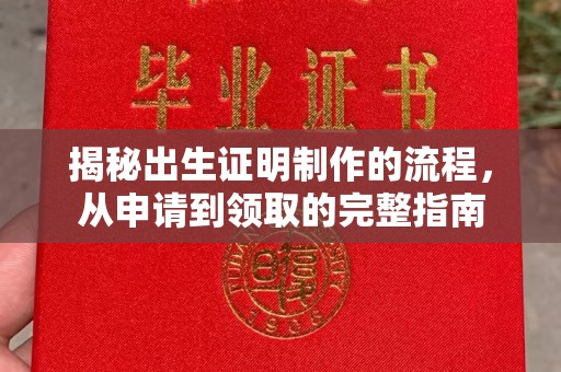 巴彦揭秘出生证明制作的流程，从申请到领取的完整指南
