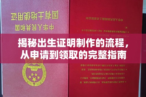 巴彦揭秘出生证明制作的流程，从申请到领取的完整指南